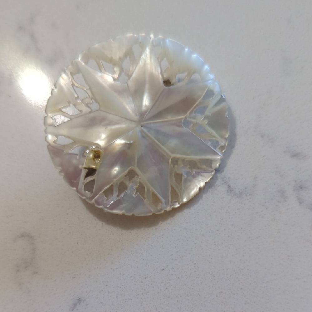 Iridescent Star Brooch
